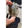 Galet en Quartz Chamane Lodolite 108grs 66mm