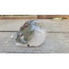 Crâne en Quartz Chamane Lodolite 448grs 8.6cm