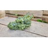 Crâne de Dragon en Jade 15cm