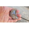 Lune en Lodolite ou Quartz Chaman (Garden) 59mm 69grs